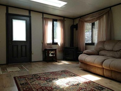 Family Room. skylight and gas stove in family room