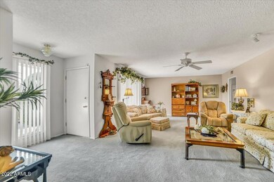 17238 N Lindgren Ave, Sun City, AZ 85373 - photo 4