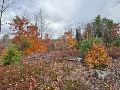 Main St - 11.43 Acres