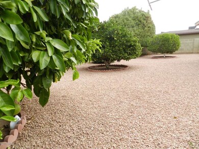 BACK YARD