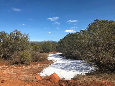 41 Bullock Rd, Ash Fork, AZ 86320 - photo 2