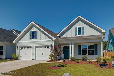 6165MeadowgrassEdit-3