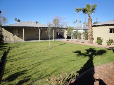 Backyard