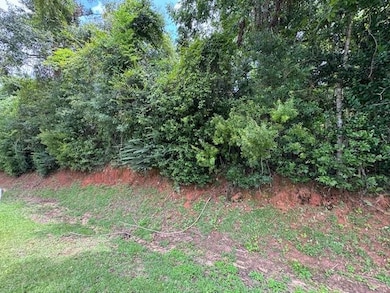 3919 Firetower Rd, Semmes, AL 36575 - photo 2