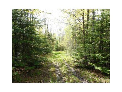 Other. Trail