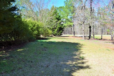 1080 Colvin - Kennedy Rd, Lincolnton, GA 30817 - photo 6