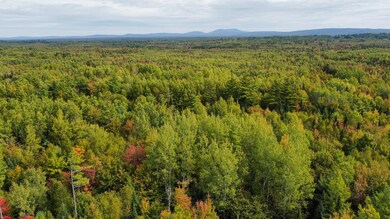 Lot 26 Wolf Run Trail, Greenbush, ME 04418 - photo 4
