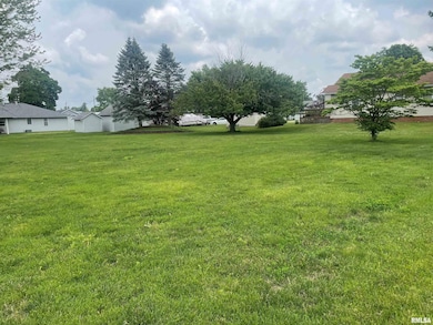 510 E Roberts St, Colchester, IL 62326 - photo 2