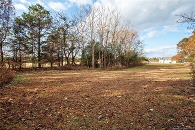 8486 Swanns Point Rd, Spring Grove, VA 23881 - photo 4