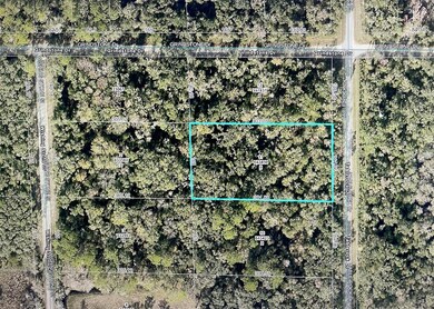 0 Table Rock Dr unit MFRTB8418470, Webster, FL 33597 - photo 2