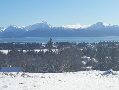 20190221_142312_resized