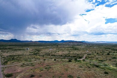 71 High Lonesome, Alpine, TX 79830 - photo 6