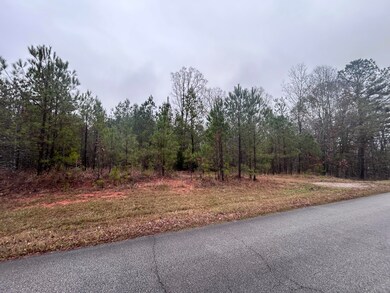 1956 Piney Woods Rd, Lincolnton, GA 30817 - photo 3