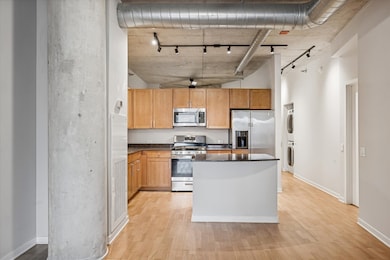River Village Lofts unit 1002, Chicago, IL 60654 - photo 5