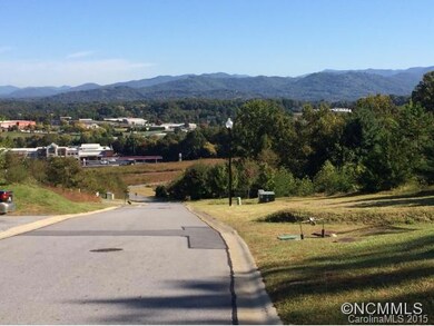 9999 Fallen Spruce Dr, Asheville, NC 28806 - photo 2