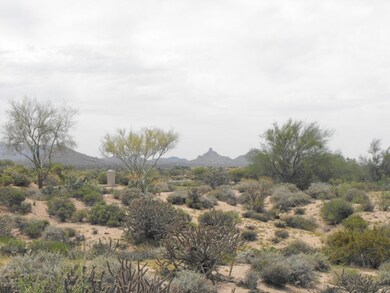 Lot 341 Pinnacle Peak Views