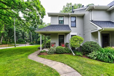 120 Elizabeth St unit 1, Saugatuck, MI 49453 - photo 2
