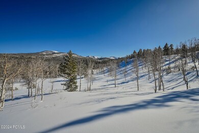 12-web-or-mls-DSC_7856