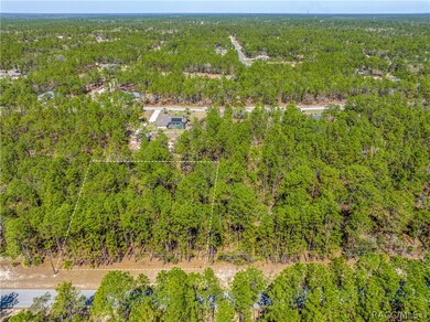 5783 W Cisco St, Beverly Hills, FL 34465 - photo 5