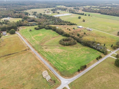 000 County Road 161, Moulton, AL 35650 - photo 4