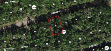 814 E Byrd Loop, Citrus Springs, FL 34434 - photo 3