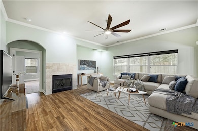 Living Room and Fireplace