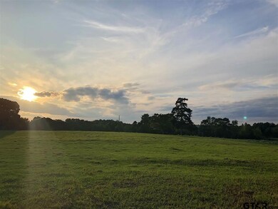 11013 County Road 233, Arp, TX 75750 - photo 4