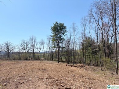 Fantastic views off the back of the home ~