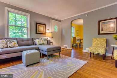 906 Larch Ave, Takoma Park, MD 20912 - photo 5