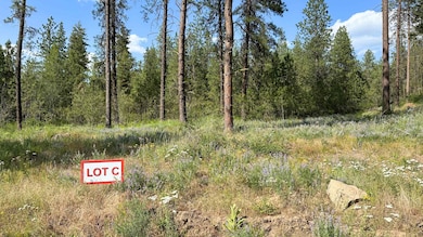 NKA Lower Weaver Lots A B C Way, Deer Park, WA 99006 - photo 7