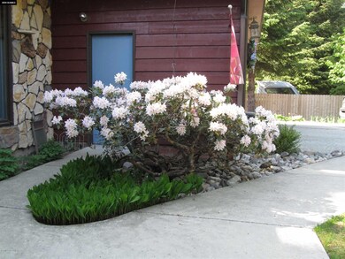 Flowers 1