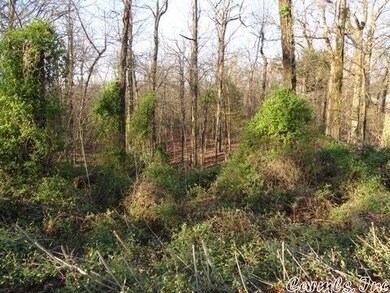 000 Greene 720 Rd, Paragould, AR 72450 - photo 3