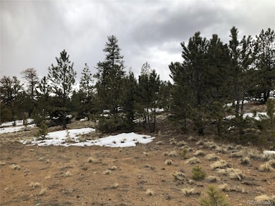 133 Joyce Ln, Hartsel, CO 80449 - photo 4