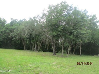 00 5th St, Titusville, FL 32780 - photo 3