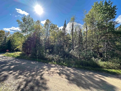 3313 Johnson Rd, Crandon, WI 54520 - photo 3