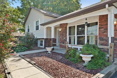 15 Lakeview Dr, Freeburg, IL 62243 - photo 2