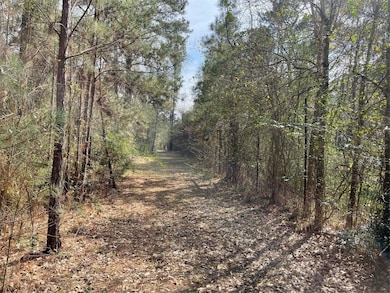 TBD Longbow St, Hockley, TX 77447 - photo 5