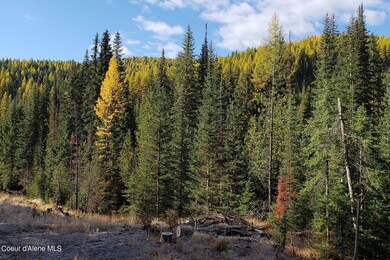 114a Packer Creek Rd, Haugen, MT 59842 - photo 3