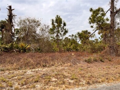 648 Muldoon Ave S, Lehigh Acres, FL 33974 - photo 2