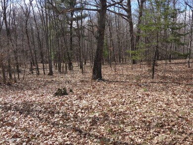 5185 E 96th St, Newaygo, MI 49337 - photo 3