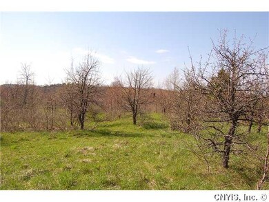 Land/Lot