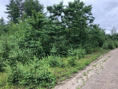 5 Justins Way, Bridgton, ME 04009 - photo 6