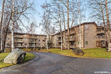 03-DSC04335
