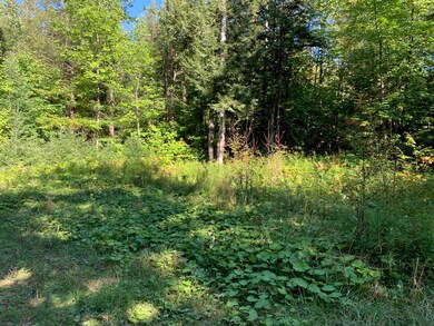 00 High Meadows Rd unit 20, Burke, VT 05832 - photo 3