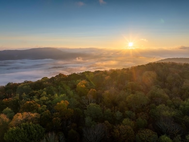 TBD Laurel Creek Trail, Marlinton, WV 24954 - photo 3