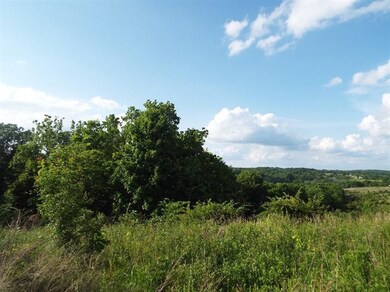 NOTHING BUT BLUE SKYS