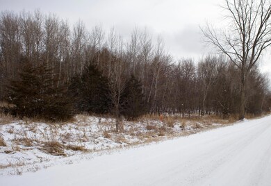 16XXX 4th Ave E, Lynden Township, MN 55382 - photo 2