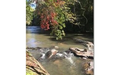 21 Roaring Forks Ln, Ellijay, GA 30540 - photo 3