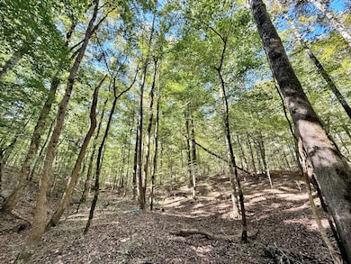 3355 Georgia 42, Forsyth, GA 31029 - photo 6