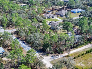 10484 Snowbird Ave, Weeki Wachee, FL 34614 - photo 7